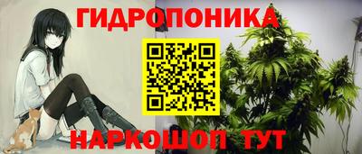 шишки Севастополь